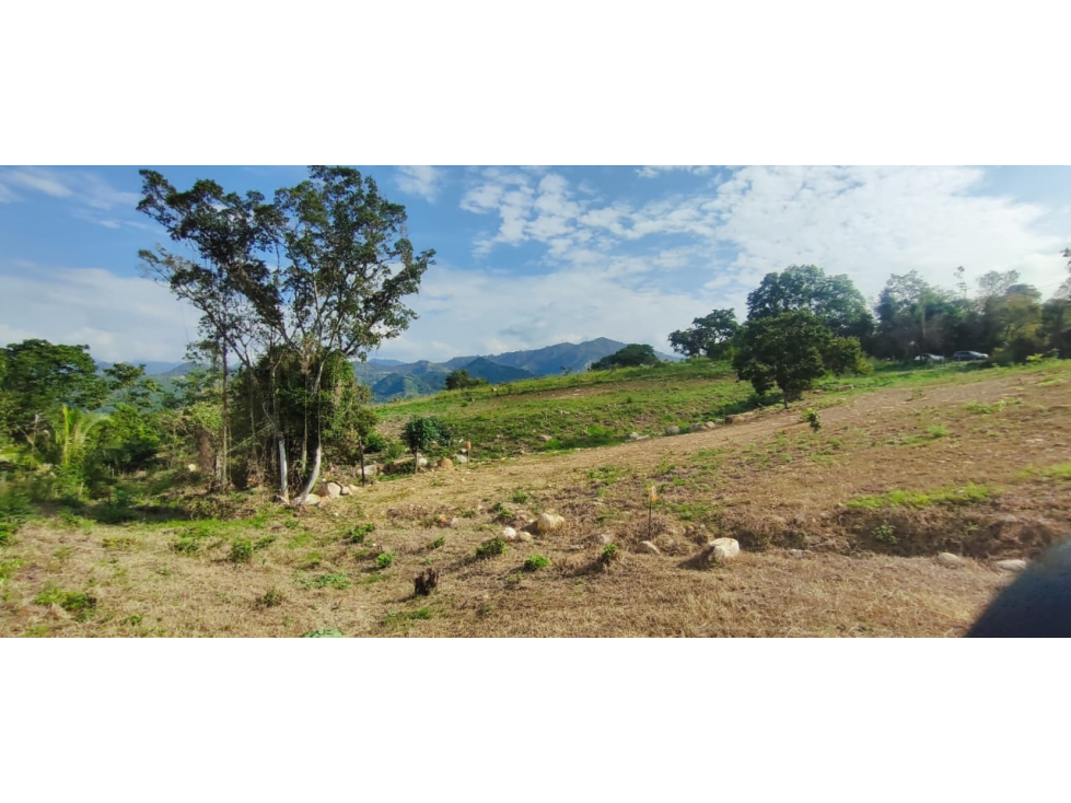 Venta de lote de 1586 M2 en 140 mill en La Mesa Cund, col — foto 4