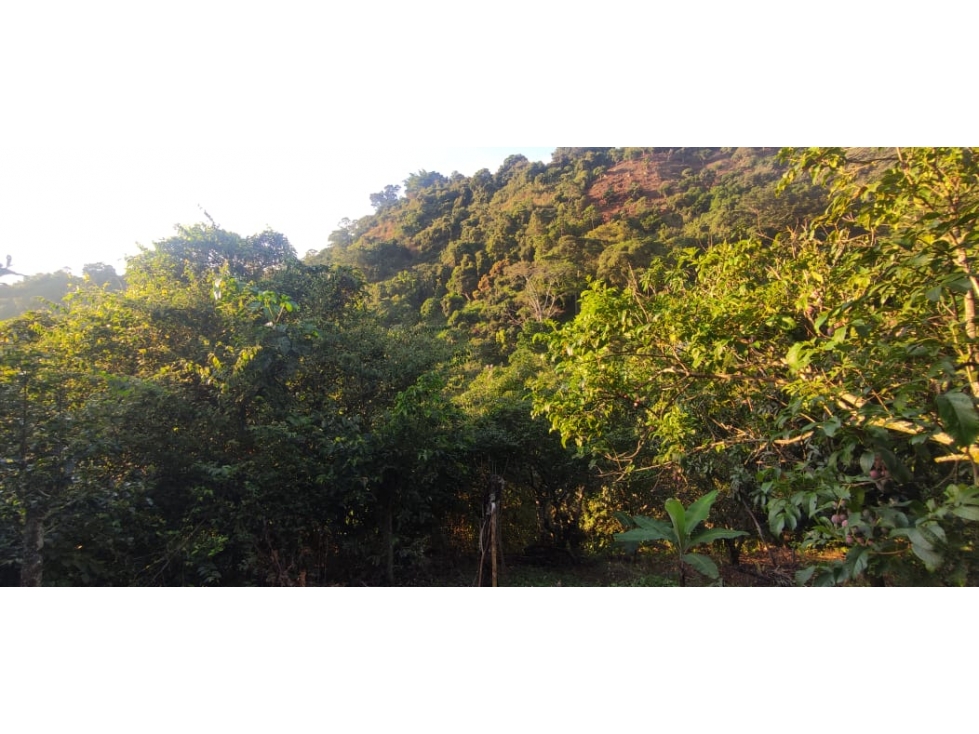 Se vende casa lote de 2000 M2 aprox en 179 mill en La Mesa Cund, Col — foto 5