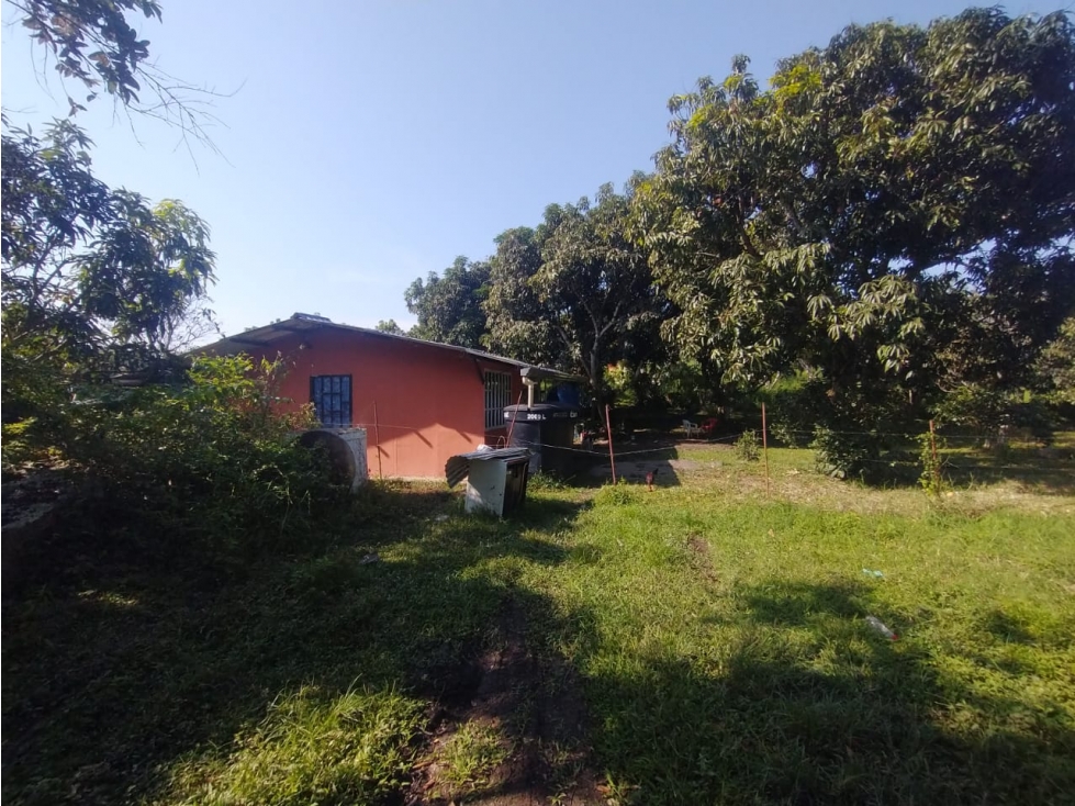 Se vende lote de 4700 M2 y casa de 50 M2 en La Mesa Cund, Colombia — foto 5