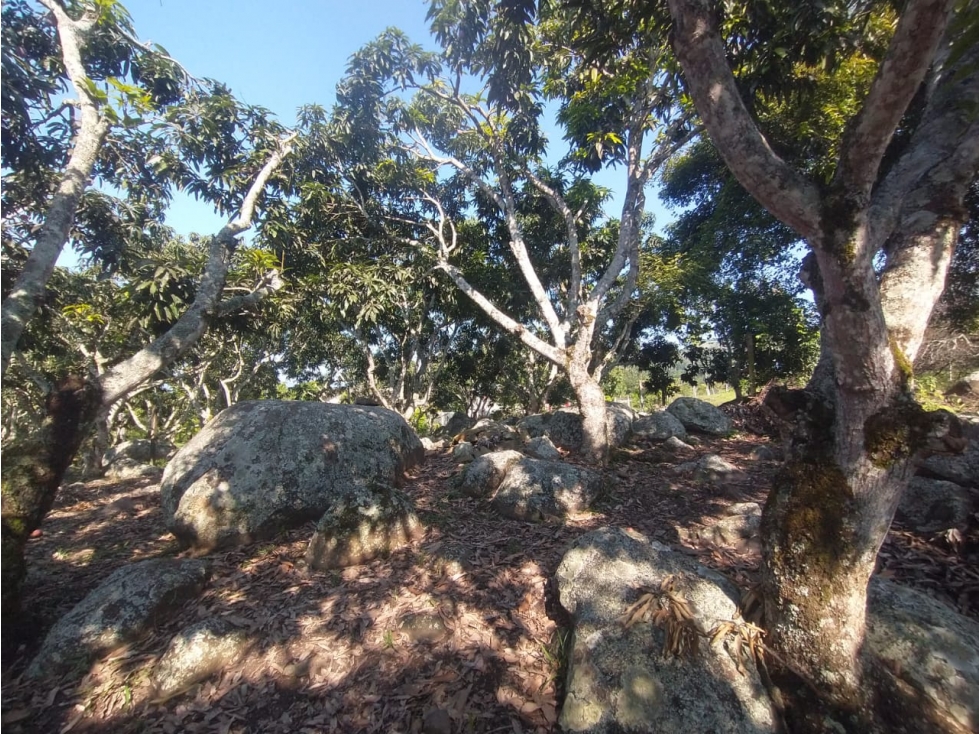 VENTA de lote de 4700 M2 en 370 mill neg, en La Mesa Cund, COL — foto 5