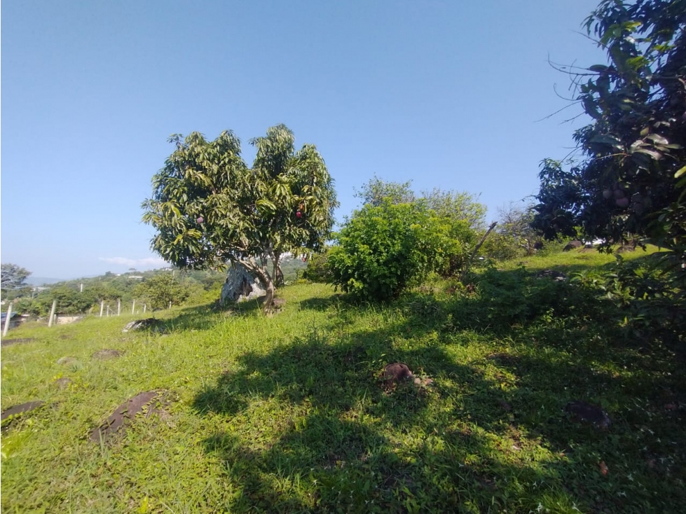 Se vende lote de 4700 M2 en La Mesa Cund, COL, en 370 millones — foto 5