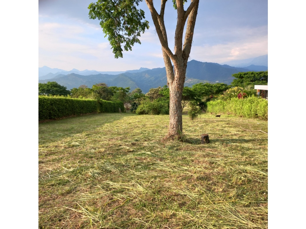 Se vende lote de 2000 M2 en 260 mill negociables en La Mesa Cund, COL — foto 5