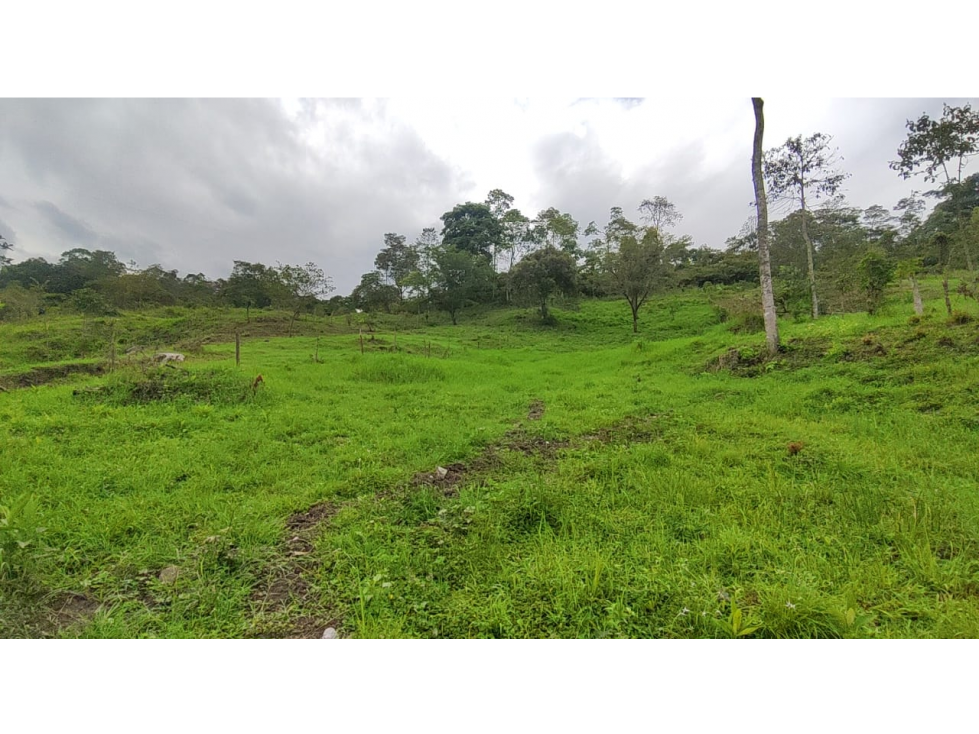 Venta de lote de 2000 M2 en 180 mill neg, en La Gran Via - TENA Cund. — foto 4