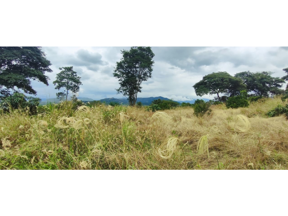 Lotes de 2000 M2 en urbanización, 200 mill en La Mesa Cund, COL. — foto 5