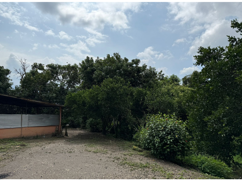 Venta de casalote de 3200 M2 en 330 millones en La Mesa Cund, COL — foto 5