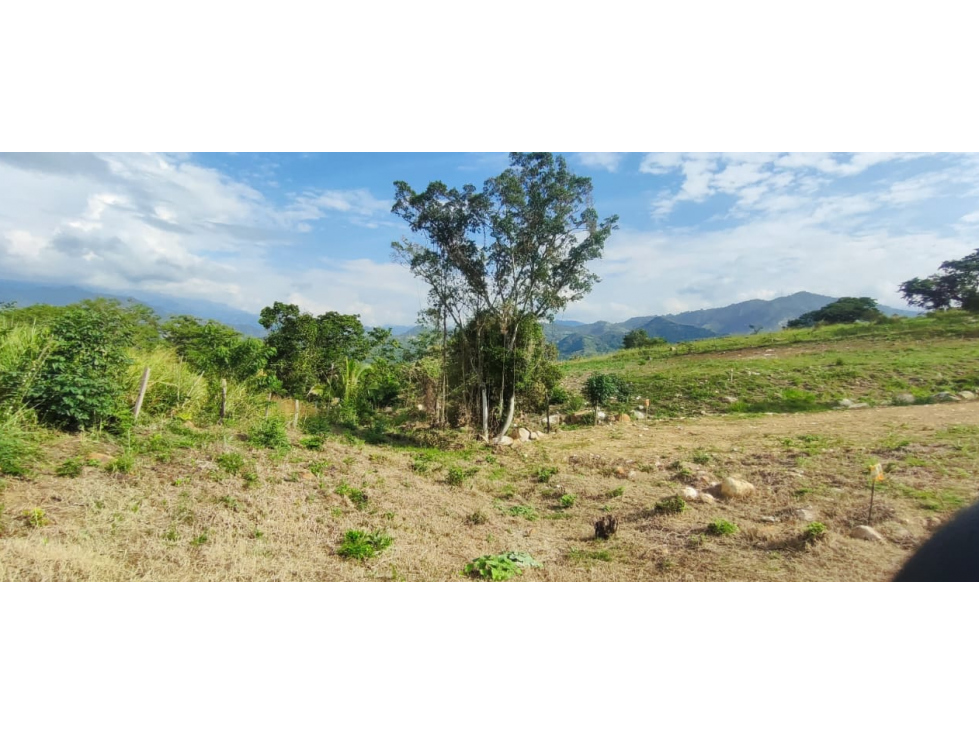Venta de lote de 1586 M2 en 140 mill en La Mesa Cund, col — foto 5