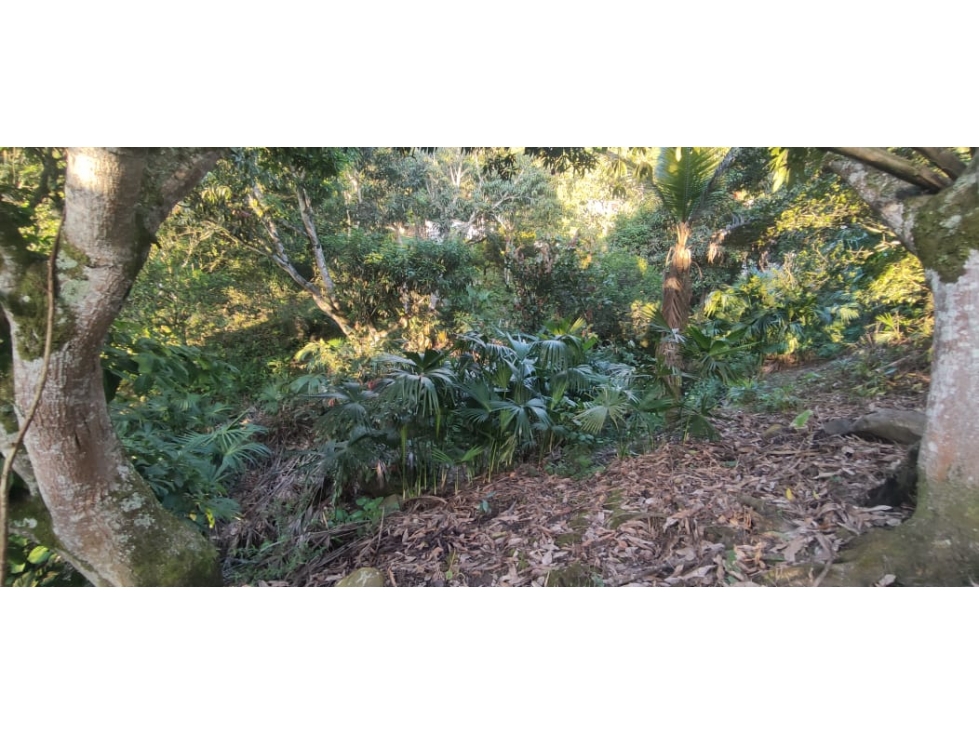 Se vende casa lote de 2000 M2 aprox en 179 mill en La Mesa Cund, Col — foto 6
