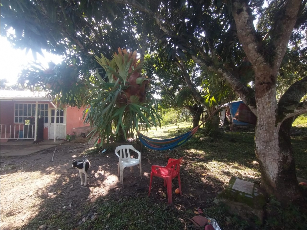 Se vende lote de 4700 M2 y casa de 50 M2 en La Mesa Cund, Colombia — foto 6