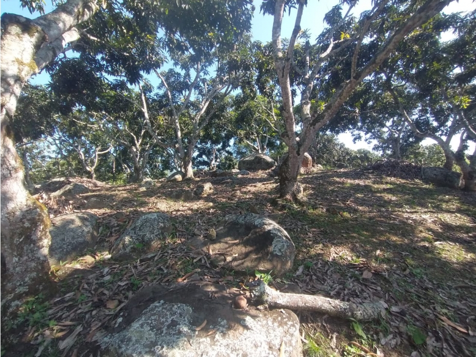 VENTA de lote de 4700 M2 en 370 mill neg, en La Mesa Cund, COL — foto 6