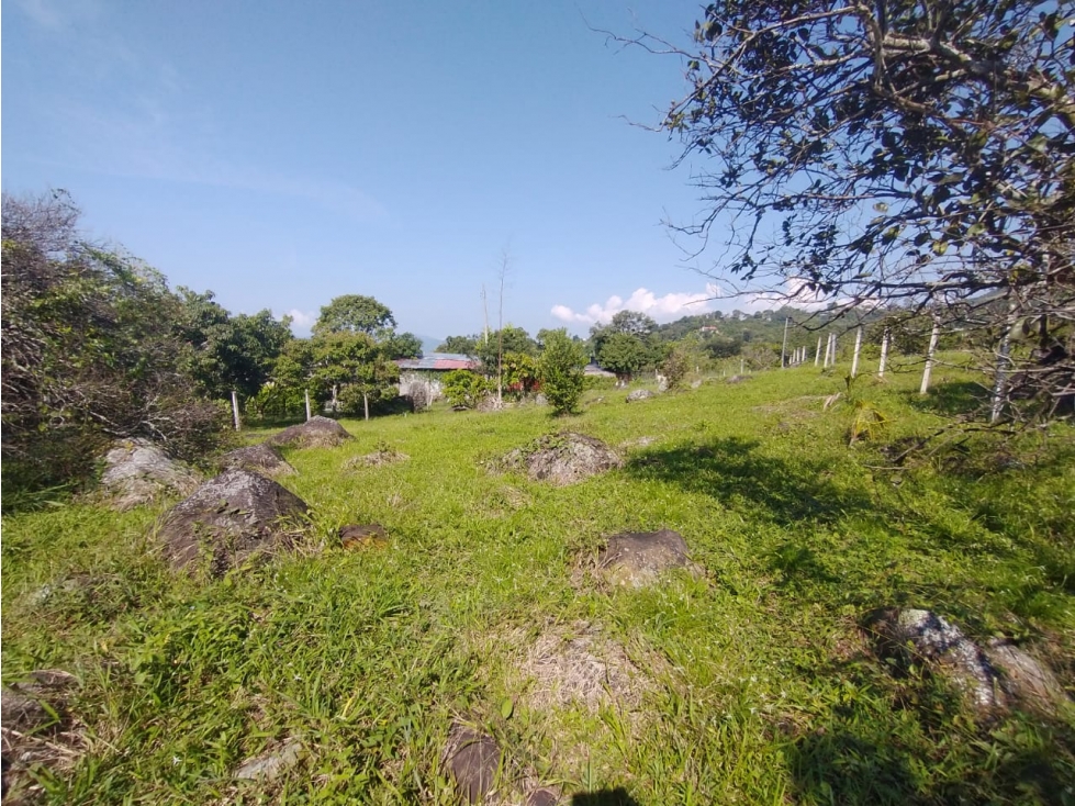 Se vende lote de 4700 M2 en La Mesa Cund, COL, en 370 millones — foto 6