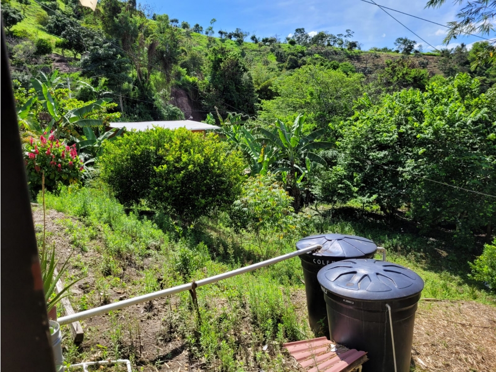 Se vende finca 4500 M2 en 780 millones en La Mesa Cund — foto 6
