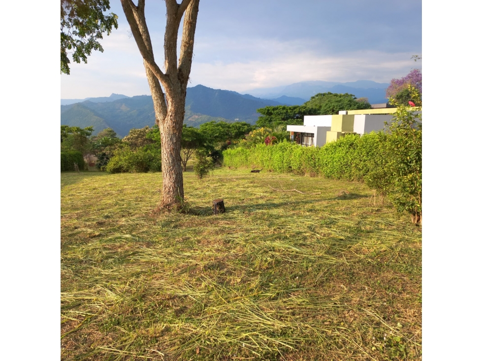 Se vende lote de 2000 M2 en 260 mill negociables en La Mesa Cund, COL — foto 3