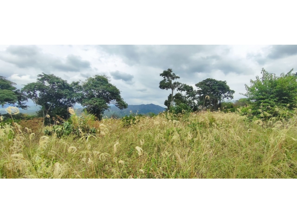 Lotes de 2000 M2 en urbanización, 200 mill en La Mesa Cund, COL. — foto 6
