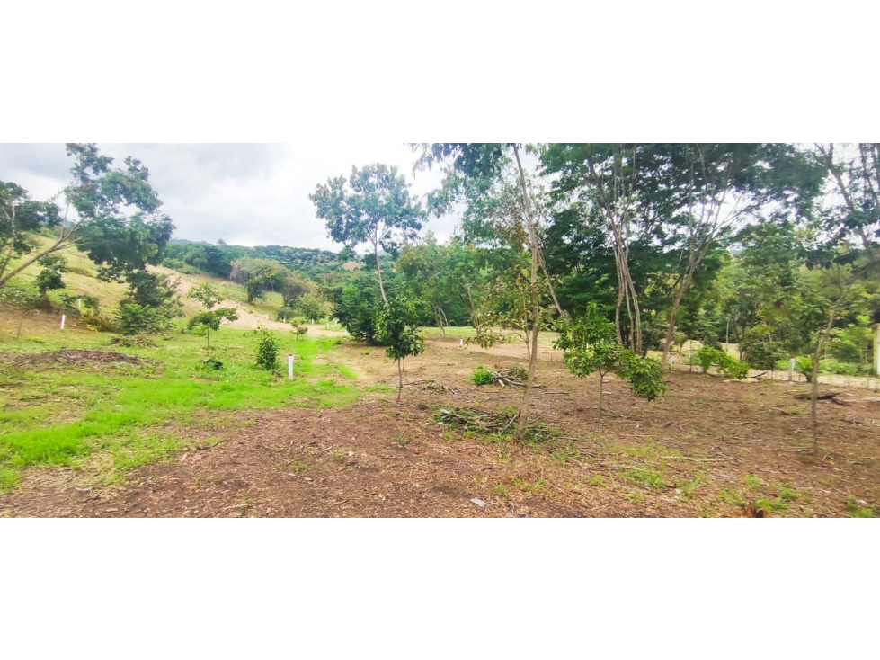 Venta de lote de 1992 M2 en 150 mill en San Joaquin Ins de La Mesa — foto 5