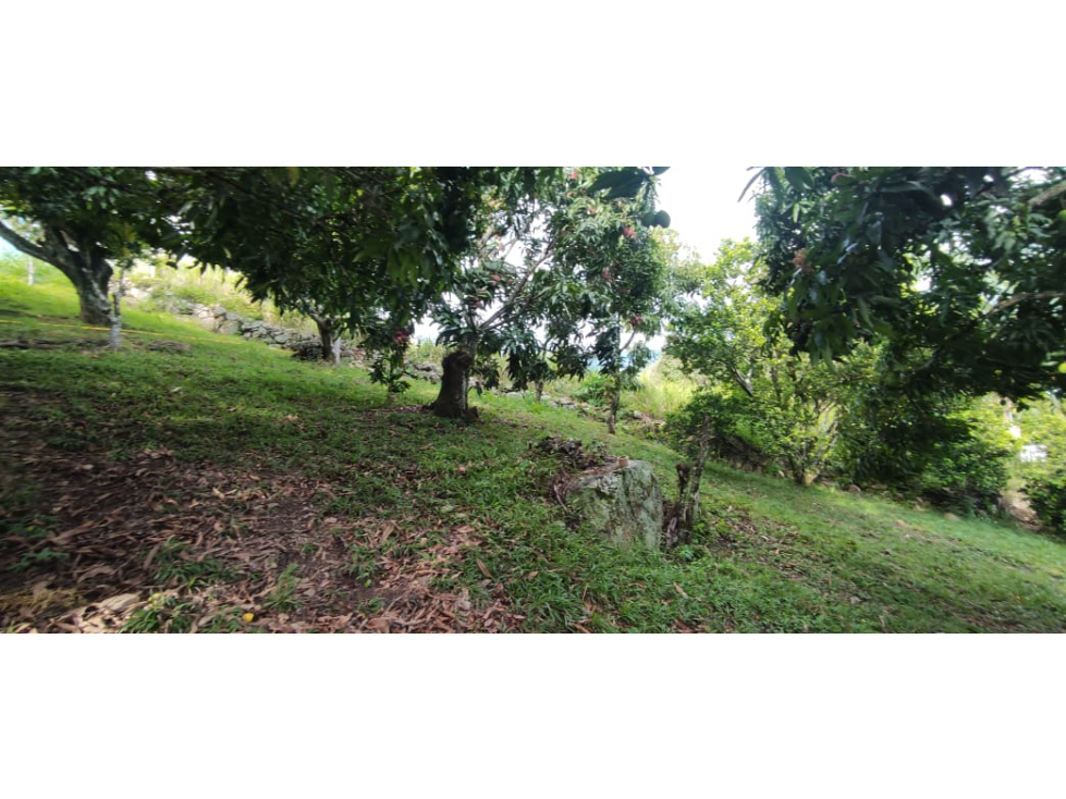 En busqueda de terreno en La Mesa Cund Esta es tu oportunidad — foto 6