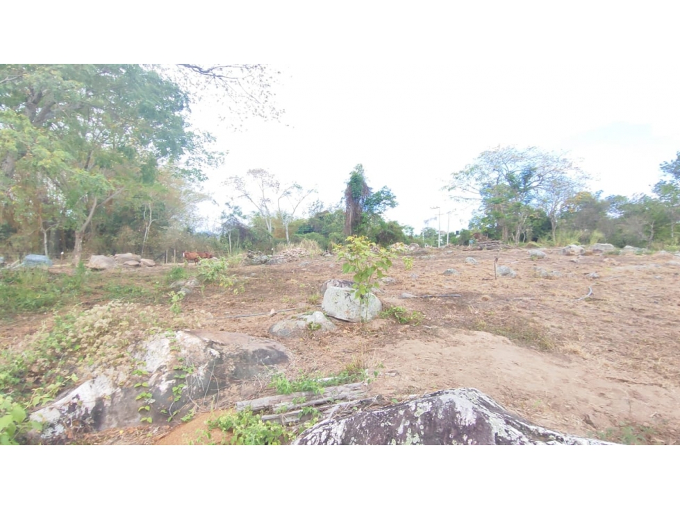 Venta de lindo lote de 1773 M2 en 240 mill en La Mesa Cund - 6