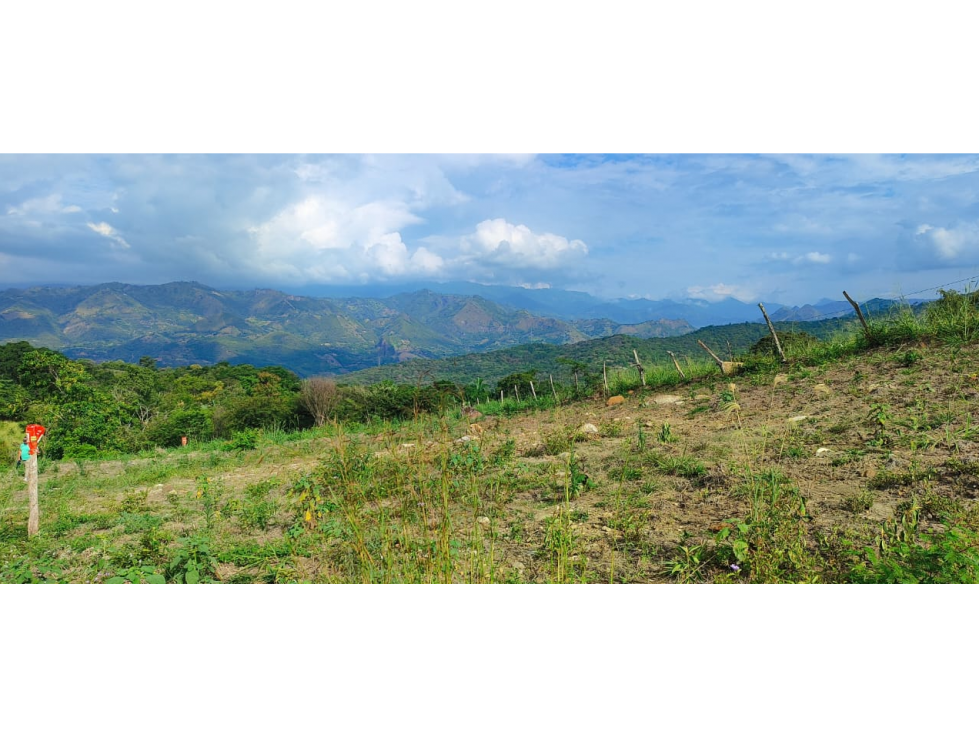 Venta de lote de 2420 M2 en 195 mill en La Mesa Cund, COL — foto 6