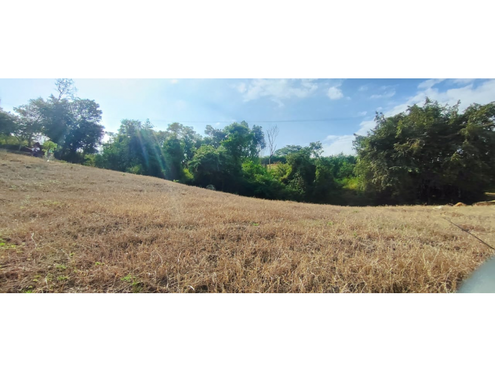 Venta de lote de 1586 M2 en 140 mill en La Mesa Cund, col — foto 6