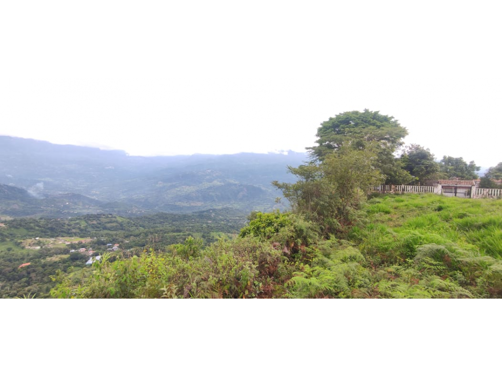 Se vende lote de 4000 M2 en 2000 mill en La Mesa Cund, COL. - 6