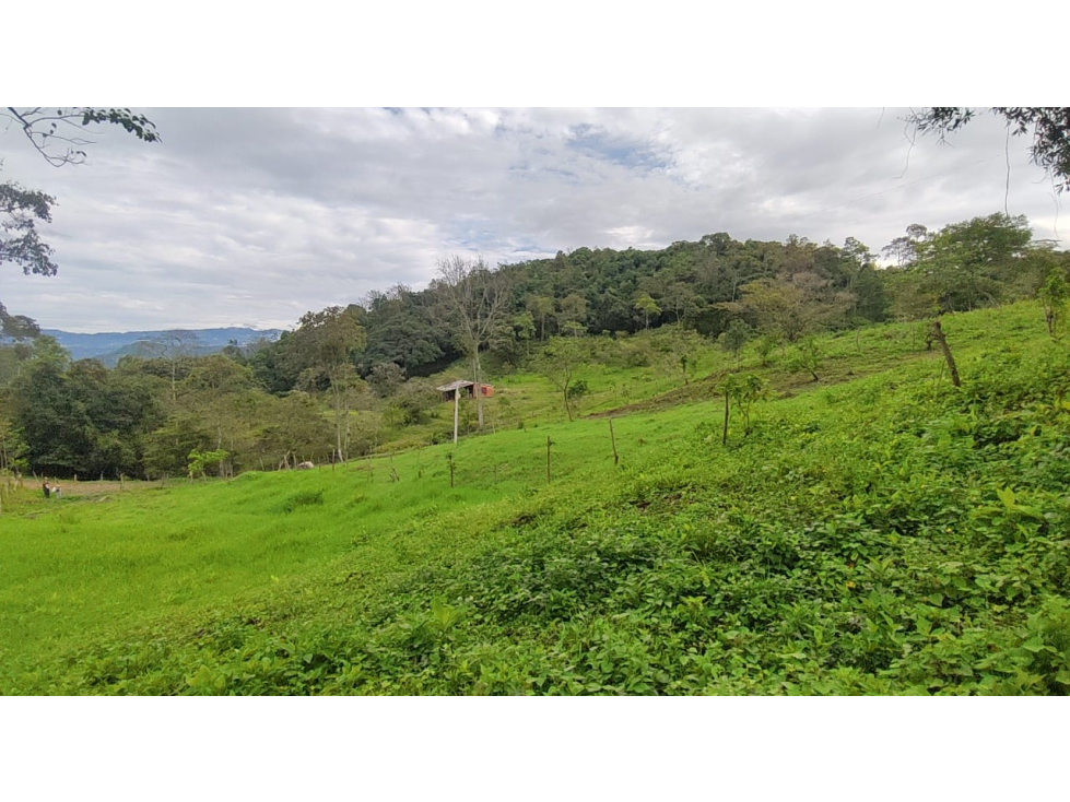Venta de lote de 2000 M2 en 180 mill neg, en La Gran Via - TENA Cund. — foto 6