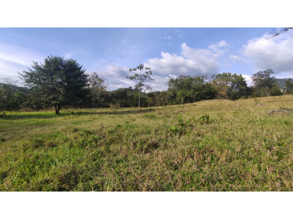 LOTE campestre de 5000 m2 en La mesa, la gran via, cundinamarca — foto 2