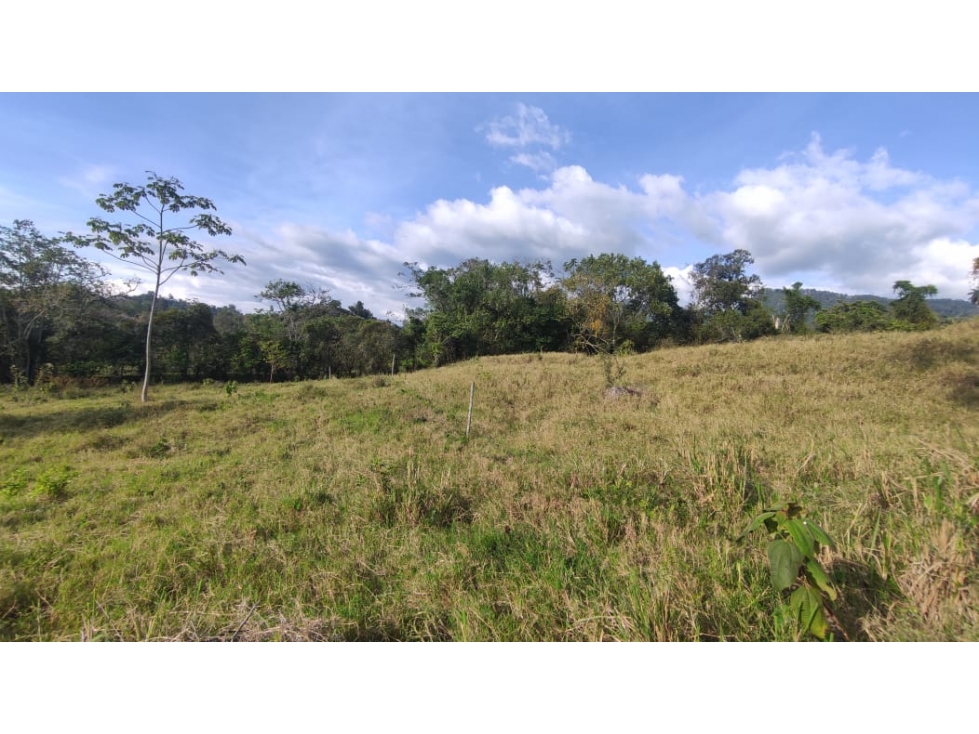 LOTE campestre de 5000 m2 en La mesa, la gran via, cundinamarca — foto 3
