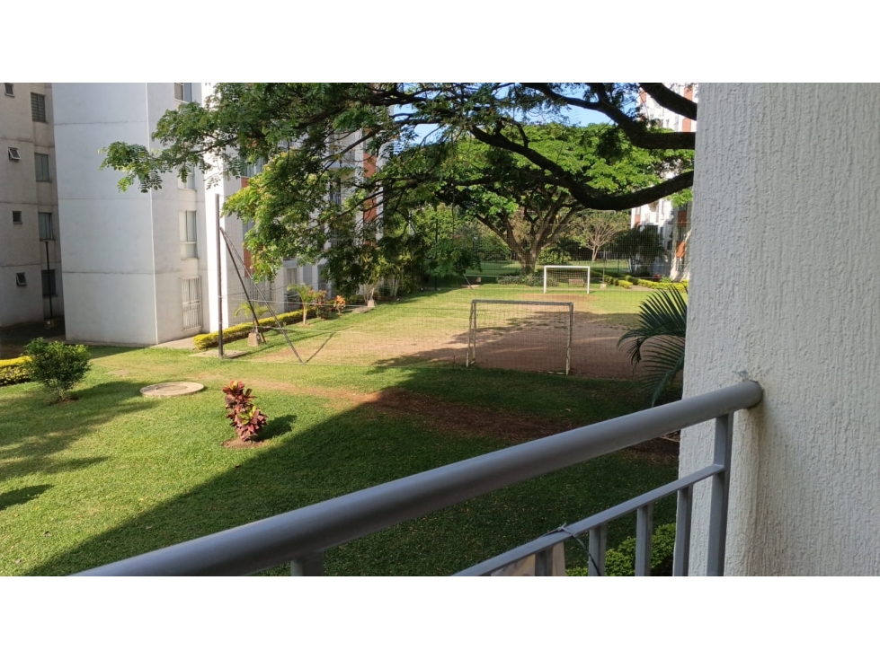 ARRIENDO APTO EN CONJUNTO LOS NARANJOS, JAMUNDI - 5