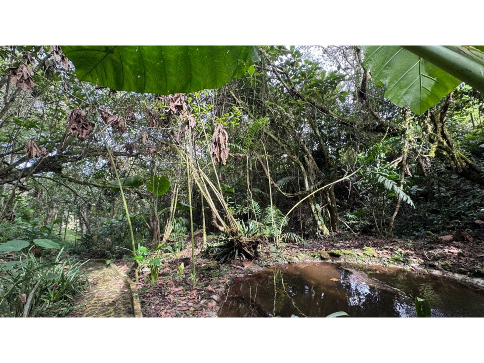 Venta de casa finca en el Retiro Antioquia — foto 6