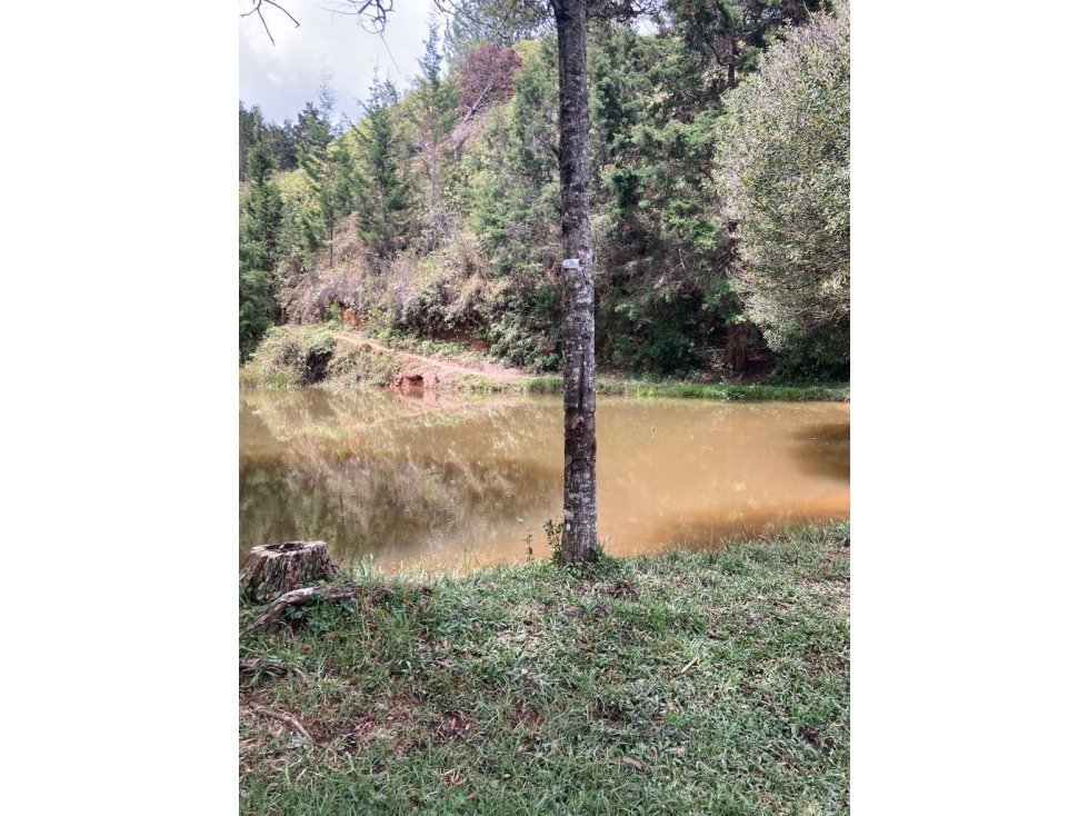Venta de lote en Guarne Antioquia — foto 4