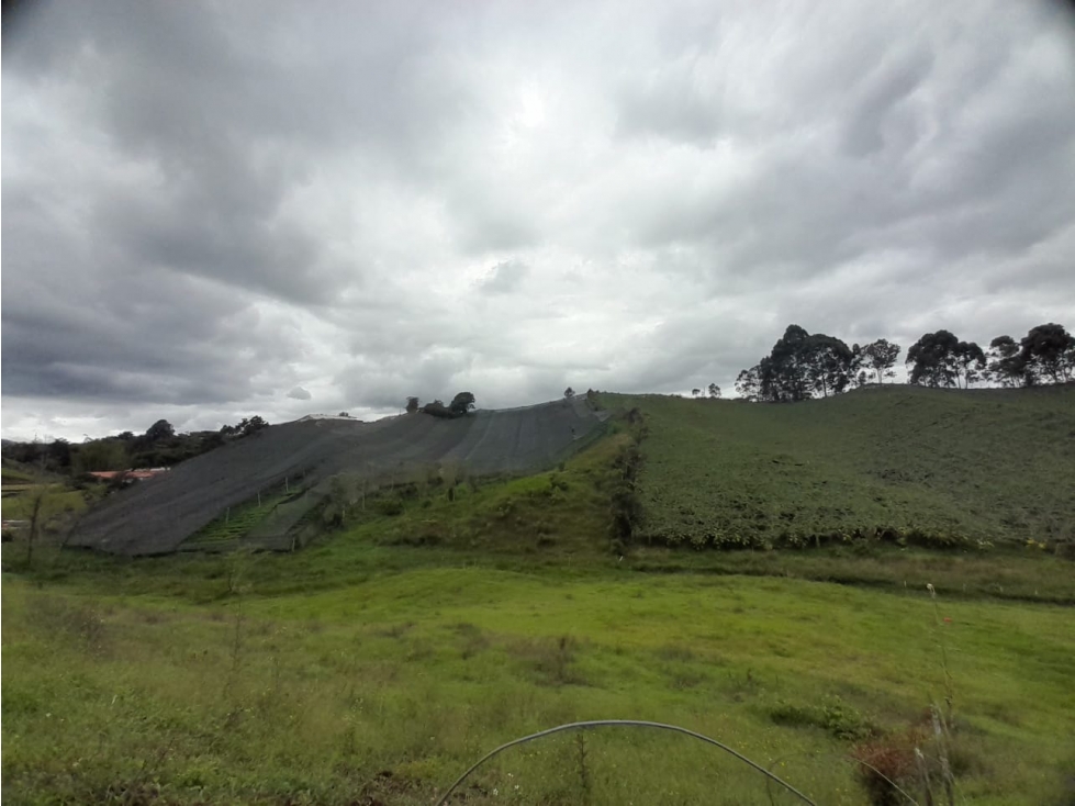 Venta de lote en Rionegro Antioquia