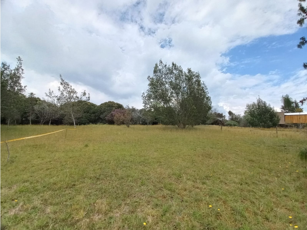 Venta de lotes en Las Palmas Antioquia