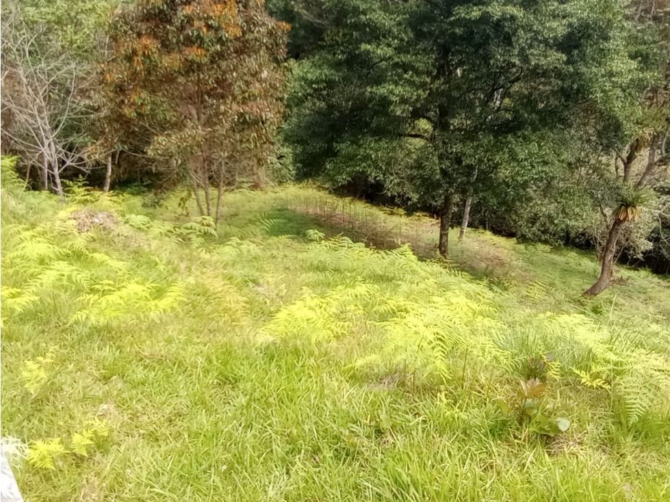 Venta de lote en Guatapé Antioquia — foto 4