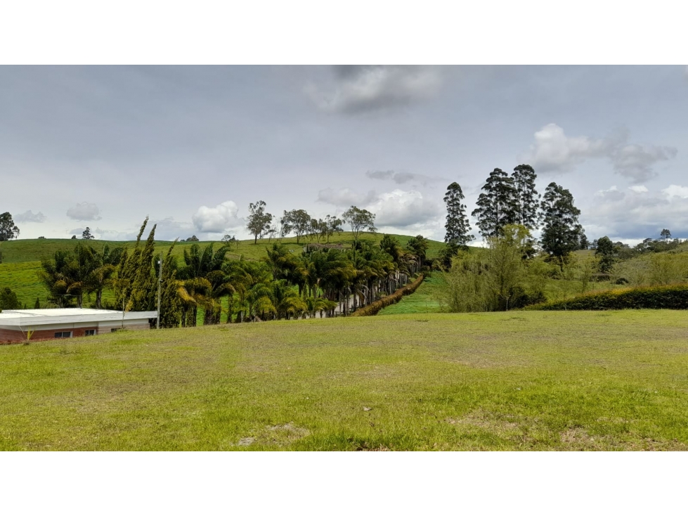 Venta de lote en parcelación de San Antonio de Pereira — foto 6