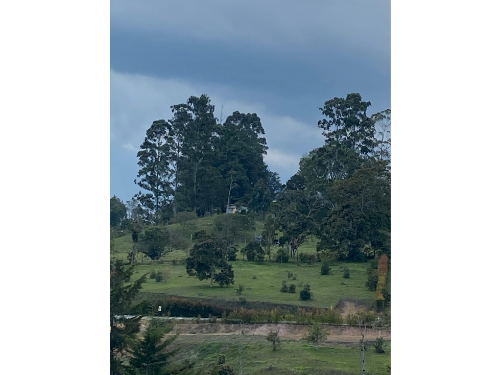 Venta de lote via San Antonio La Ceja
