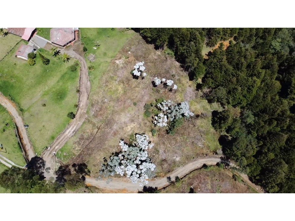 Venta de lote en Guarne Antioquia — foto 2