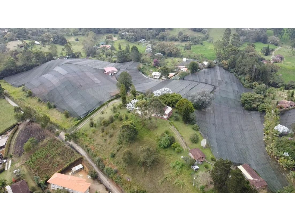 Venta de lote en el Carmen de Viboral sector aguas claras — foto 2