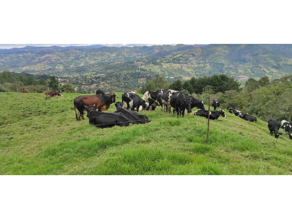 Venta de finca en Guarne Antioquia