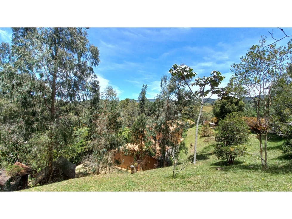 Venta de casa en parcelación de Las Palmas — foto 6
