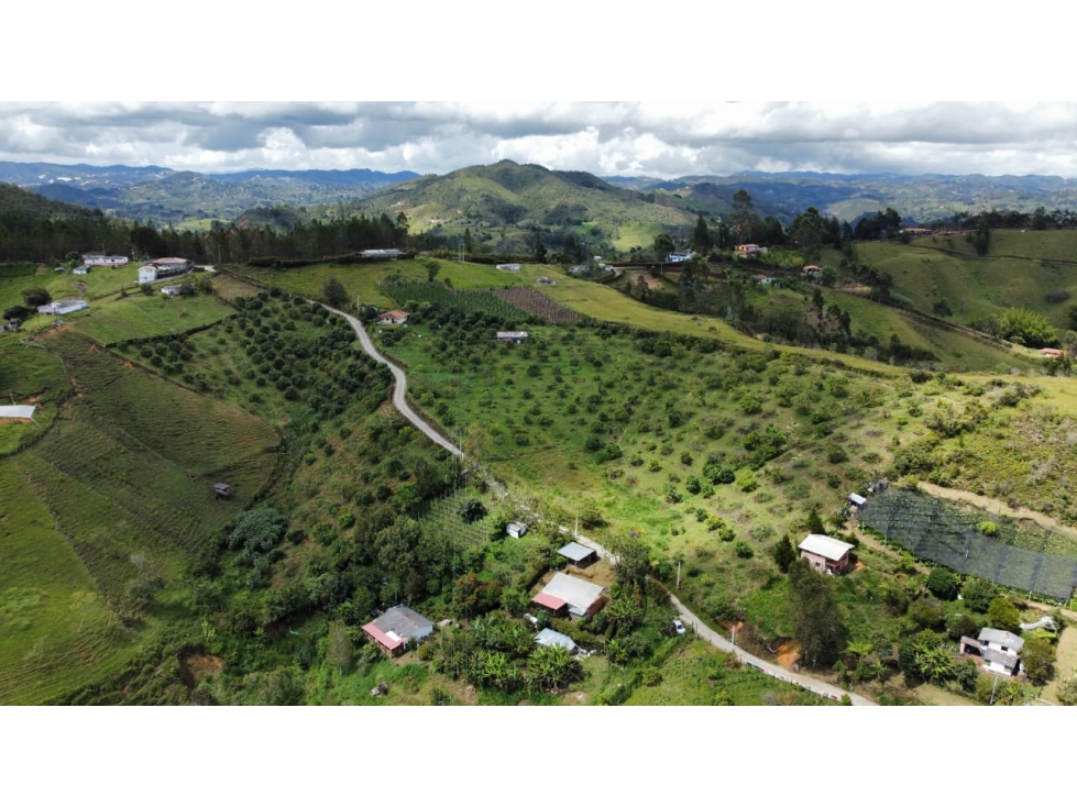 Venta de finca aguacatera en Marinilla Antioquia — foto 2