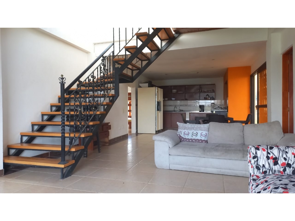 Venta de finca aguacatera en Marinilla Antioquia — foto 5