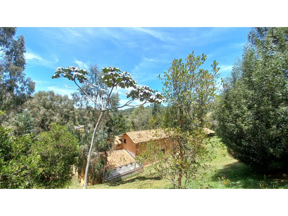 Venta de casa en parcelación de Las Palmas — foto 2