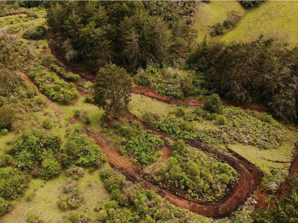 Venta de lote en El Carmen Antioquia