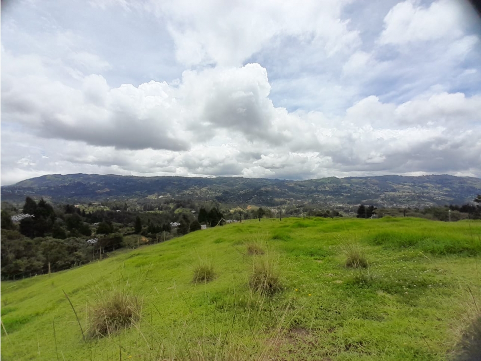 Venta de lotes en Guarne Antioquia — foto 3