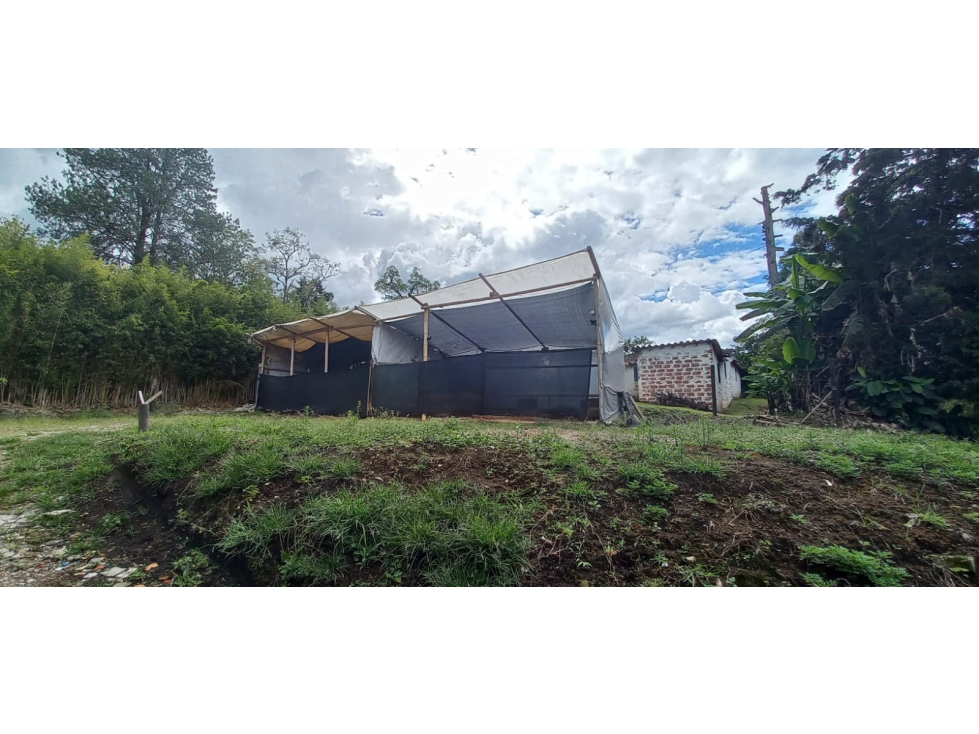 Venta de lote en Rionegro Antioquia