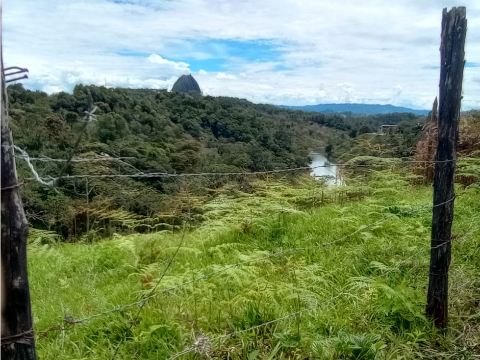 Venta de lote en Guatapé Antioquia
