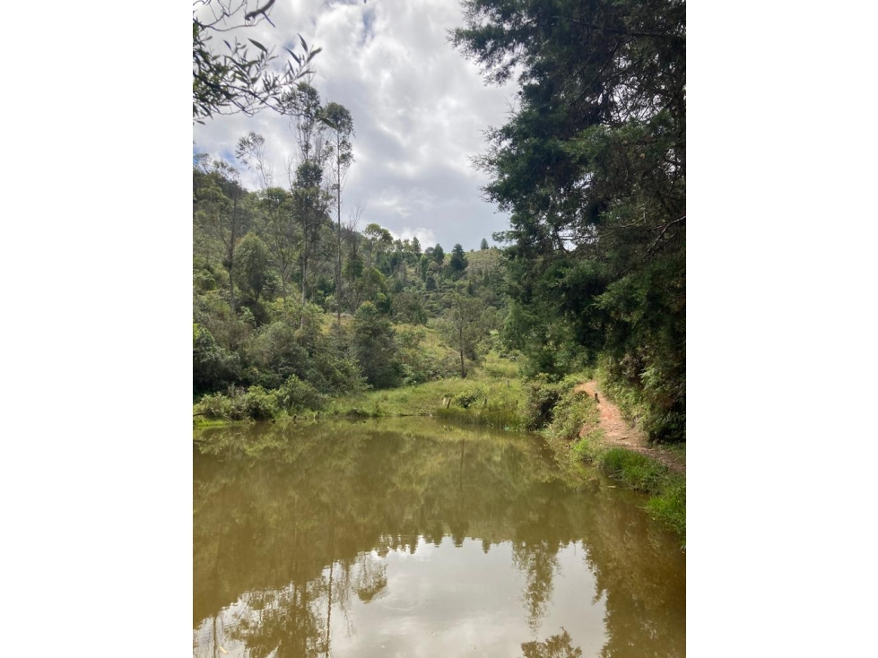 Venta de lote en Guarne Antioquia — foto 3