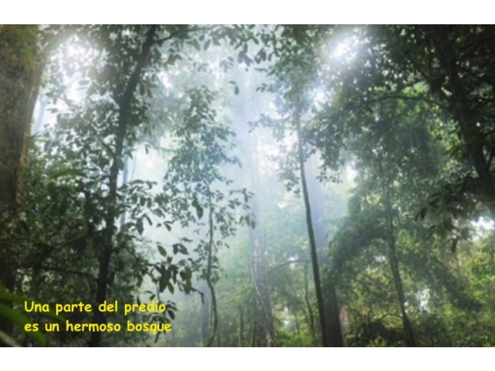 Venta de lote en Rionegro, Antioquia cerca al Túnel — foto 4