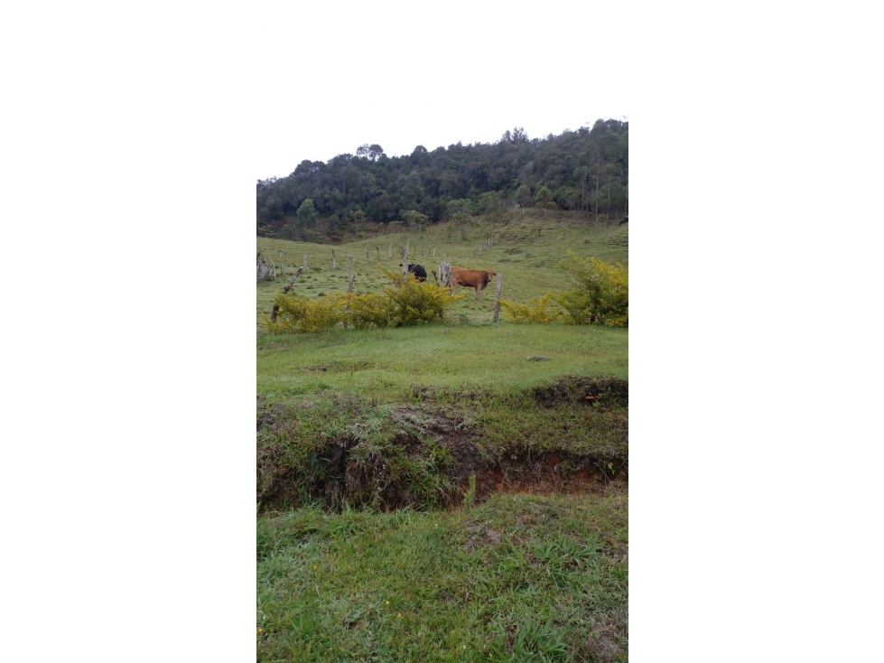 Venta de casa finca en san vicente ferrer — foto 2