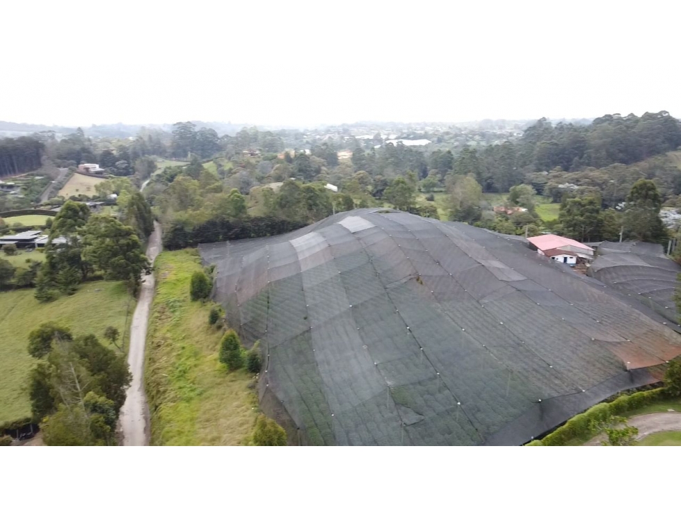 Venta de lote en el Carmen de Viboral sector aguas claras — foto 3