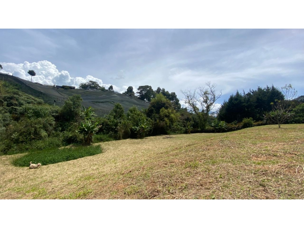 Venta de lote en el Carmen de viboral Vereda Cristo Rey — foto 2
